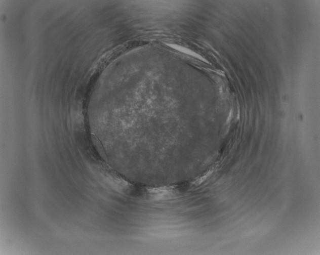 X0000074040516200609111742