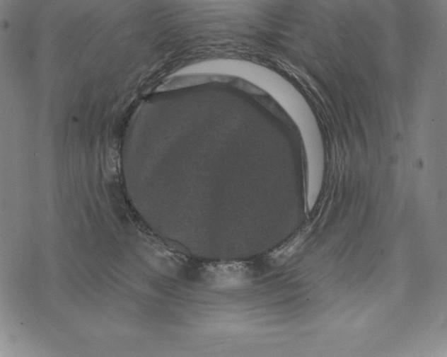 X0000074040517200609111742