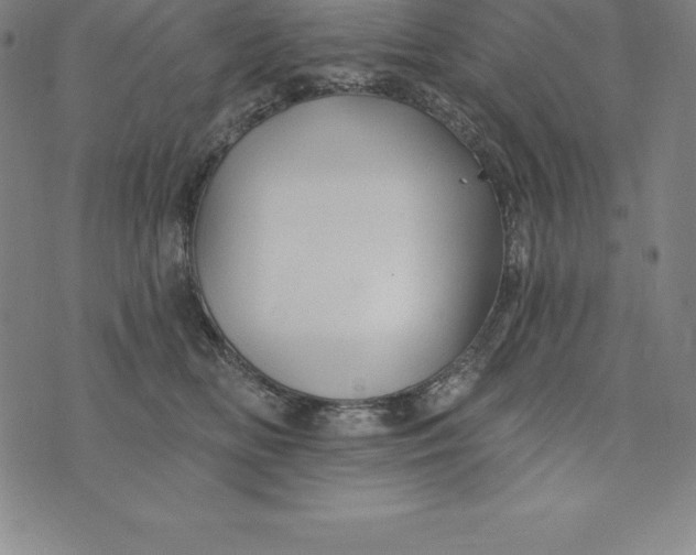 X0000074040518200609111742