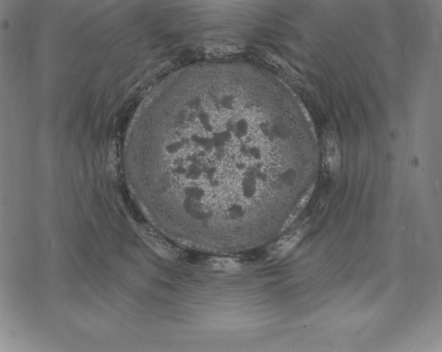 X0000074040519200609111742