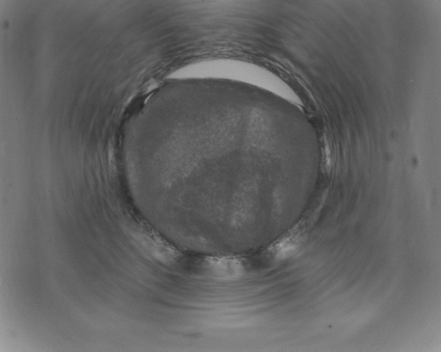 X0000074040520200609111742