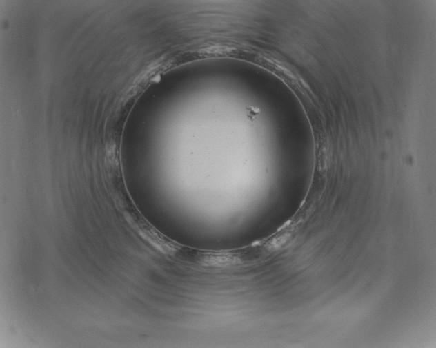 X0000074040521200609111742