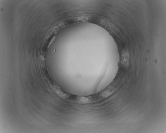 X0000074040522200609111742