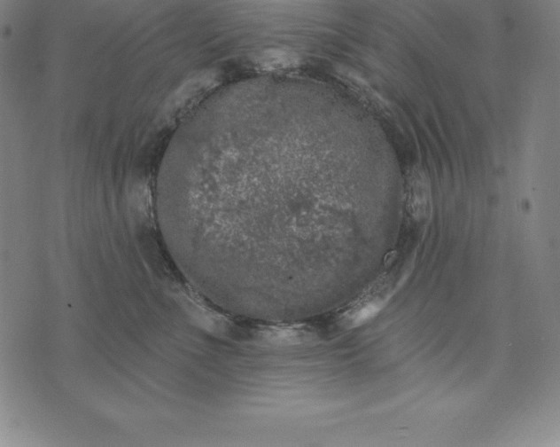 X0000074040523200609111742