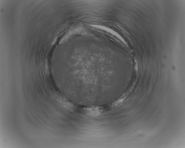 X0000074040524200609111742