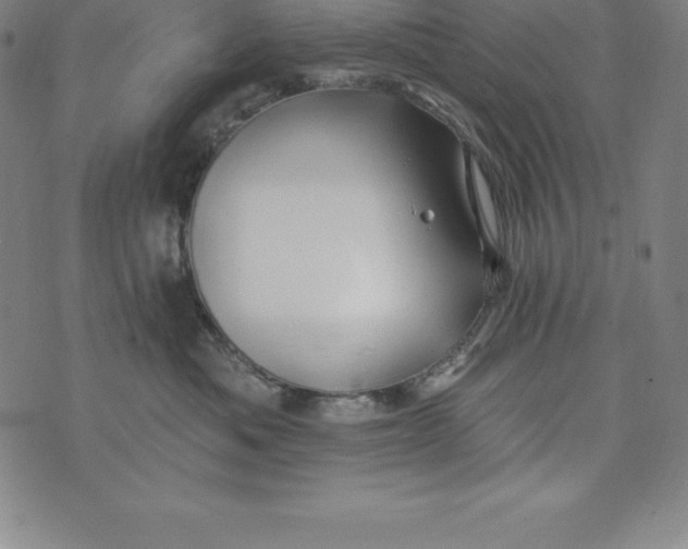 X0000074040525200609111742