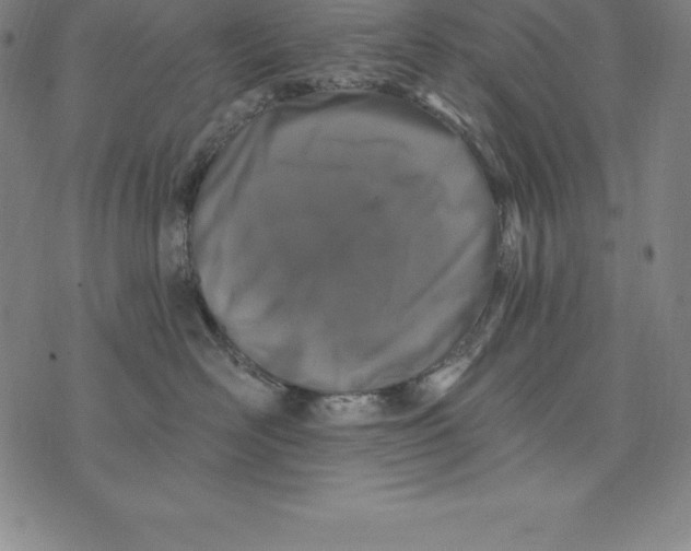 X0000074040526200609111742