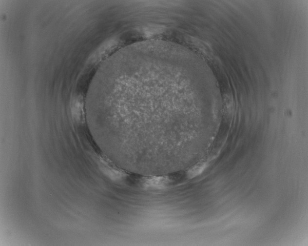 X0000074040527200609111742