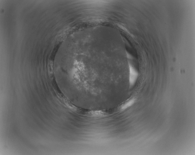 X0000074040528200609111742