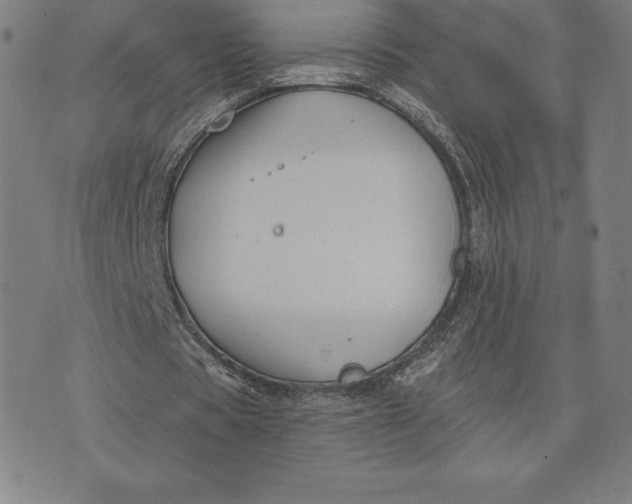 X0000074040529200609111741