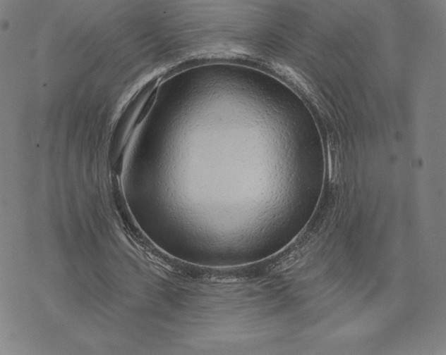 X0000074040531200609111741