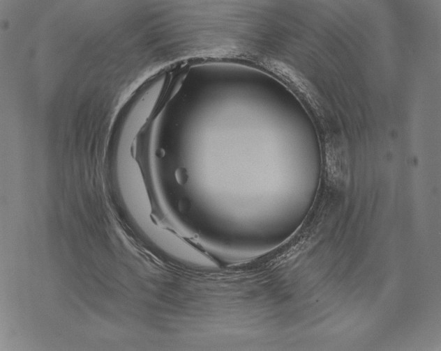 X0000074040532200609111741