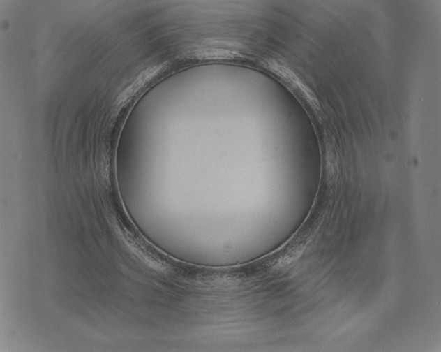 X0000074040533200609111741