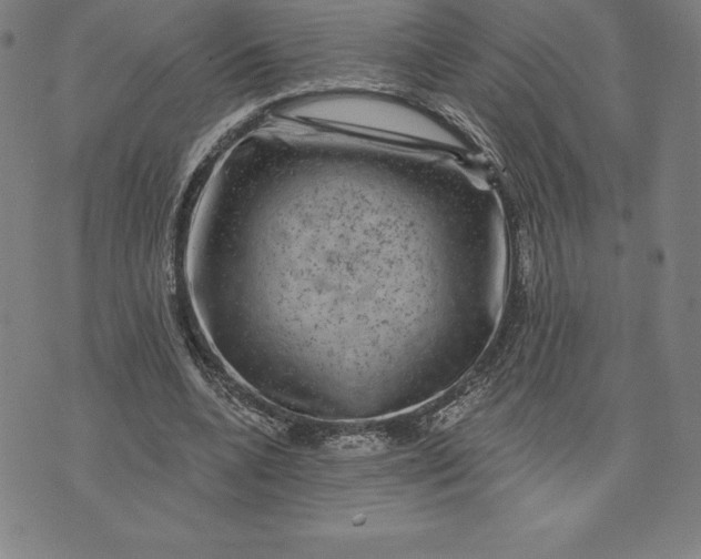 X0000074040536200609111741