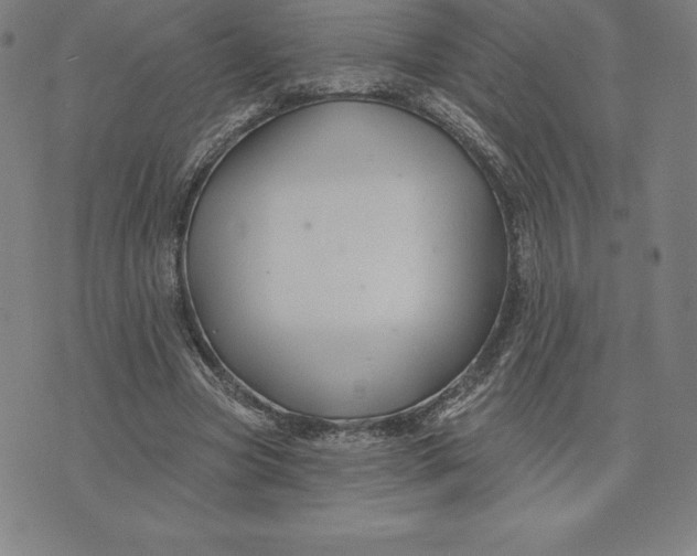 X0000074040537200609111741