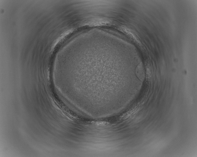 X0000074040539200609111741