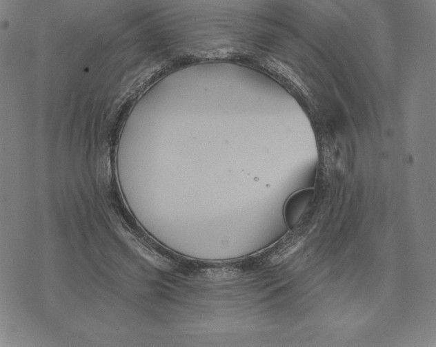 X0000074040541200609111741