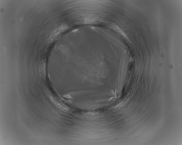 X0000074040542200609111741