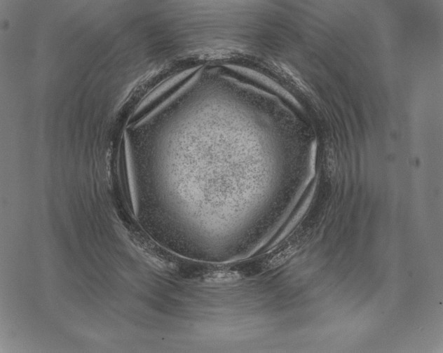 X0000074040543200609111741