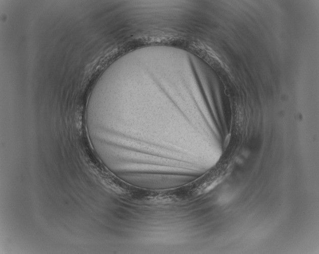 X0000074040545200609111741