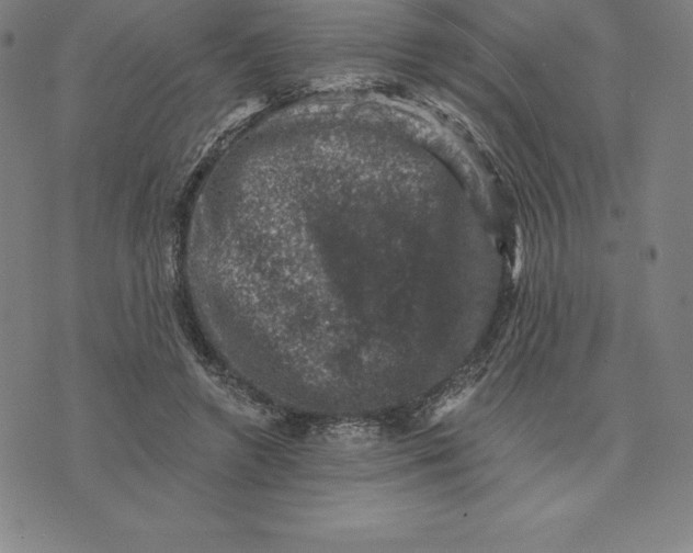 X0000074040546200609111741