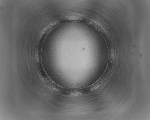 X0000074040547200609111741