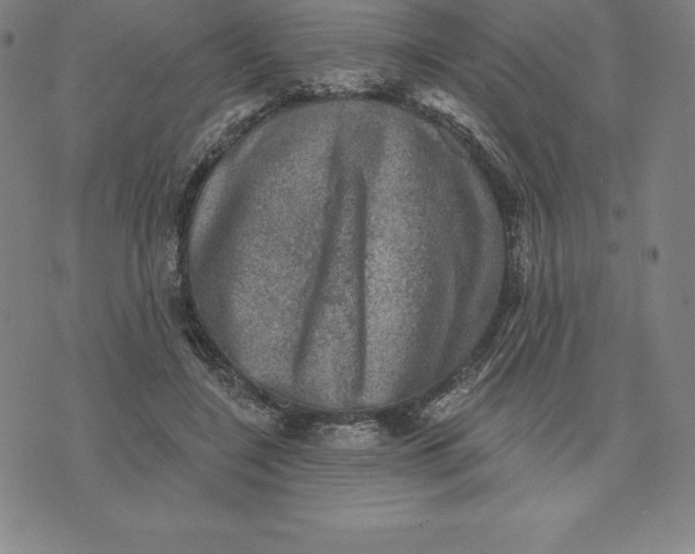 X0000074040548200609111742