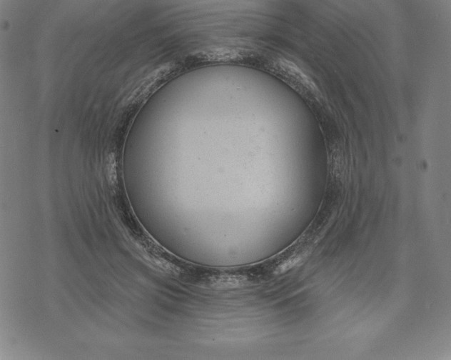 X0000074040549200609111742