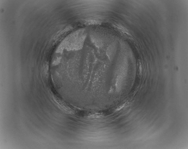 X0000074040550200609111742