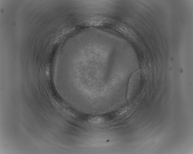 X0000074040551200609111742