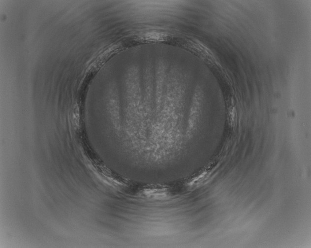 X0000074040552200609111742