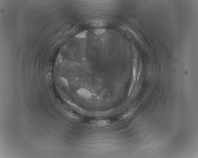 X0000074040553200609111742