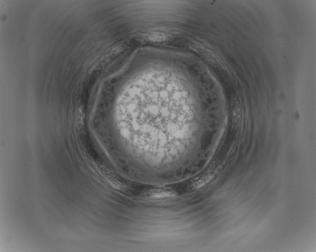 X0000074040555200609111742