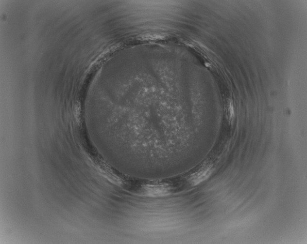 X0000074040556200609111742