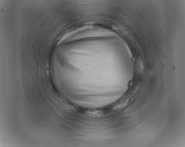 X0000074040557200609111742