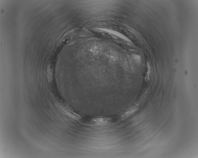 X0000074040558200609111742