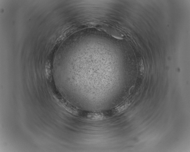 X0000074040559200609111742