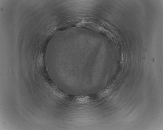 X0000074040560200609111742