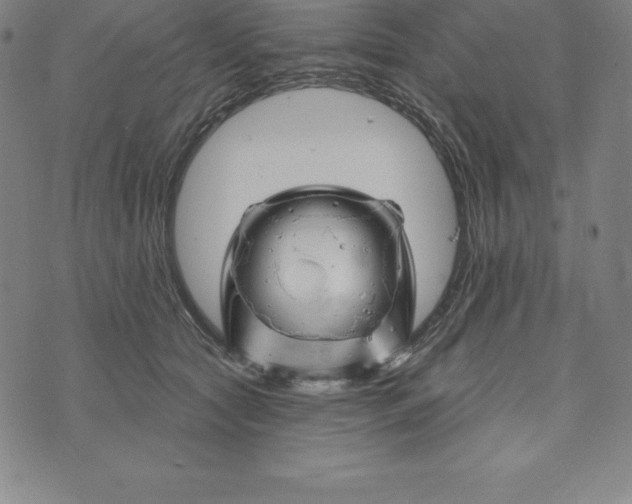 X0000074040561200609111742