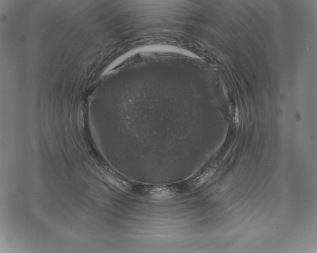 X0000074040562200609111742