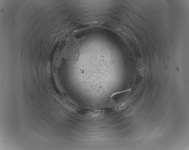 X0000074040563200609111742