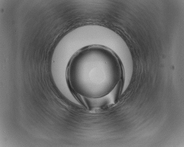 X0000074040564200609111742