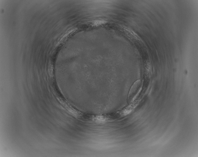 X0000074040565200609111742