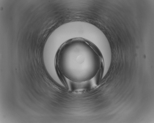 X0000074040566200609111742