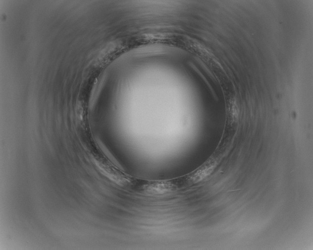 X0000074040567200609111742