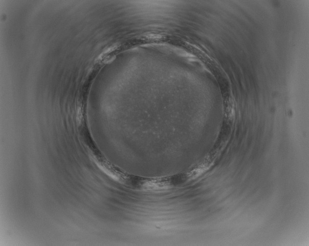 X0000074040568200609111742