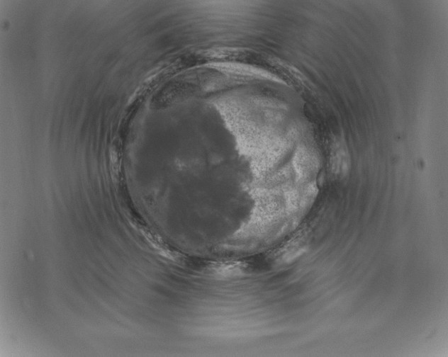 X0000074040569200609111742