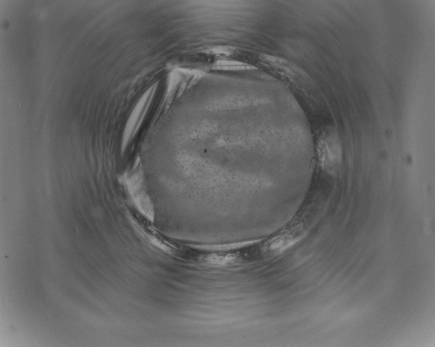 X0000074040570200609111742