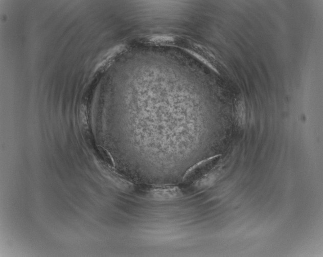 X0000074040571200609111742