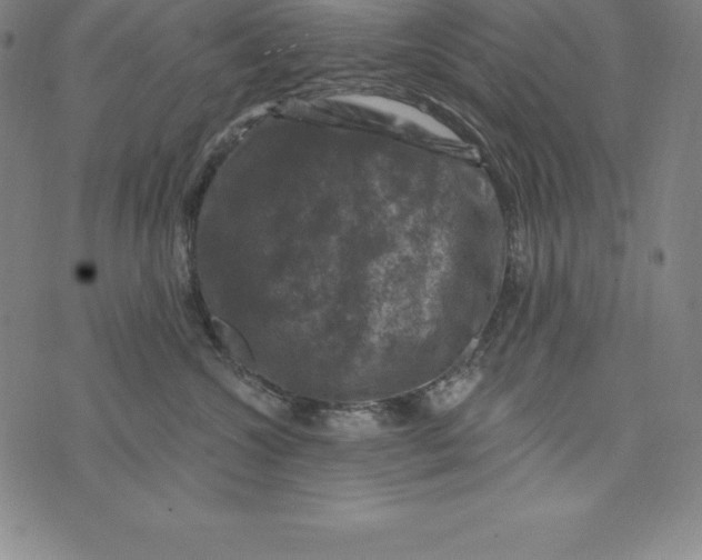 X0000074040572200609111742